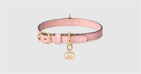 collier gucci chat|Gucci dog clothing.